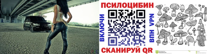 Псилоцибиновые грибы GOLDEN TEACHER Кадников